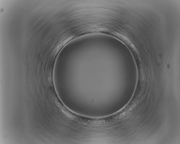 X0000075860889200609221753