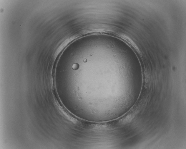 X0000075860890200609221753