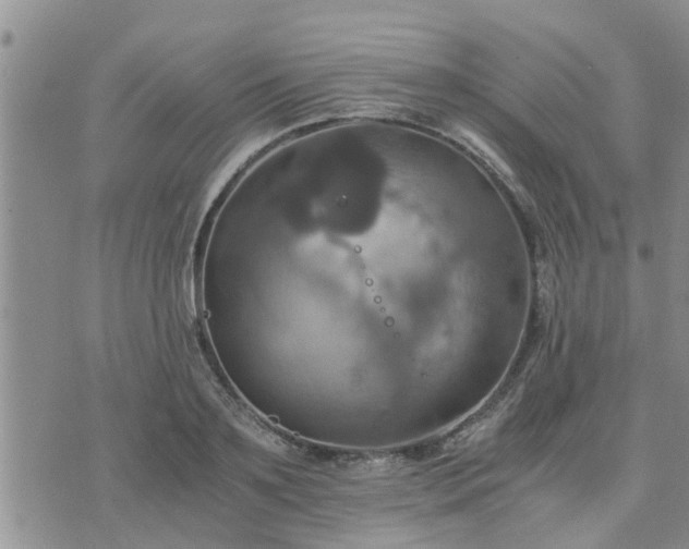 X0000075860891200609221753