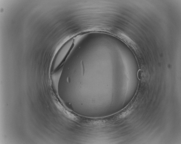 X0000075860892200609221753