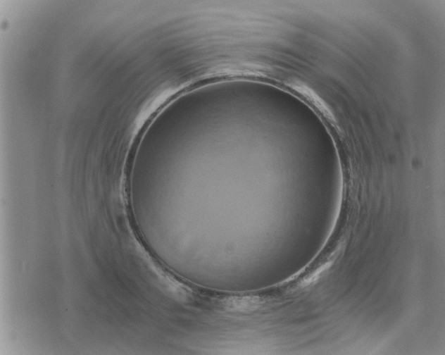 X0000075860893200609221753