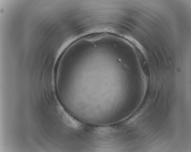 X0000075860894200609221752