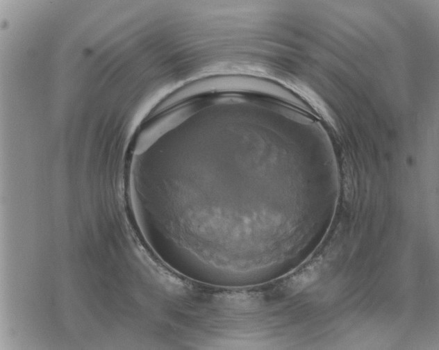 X0000075860896200609221752