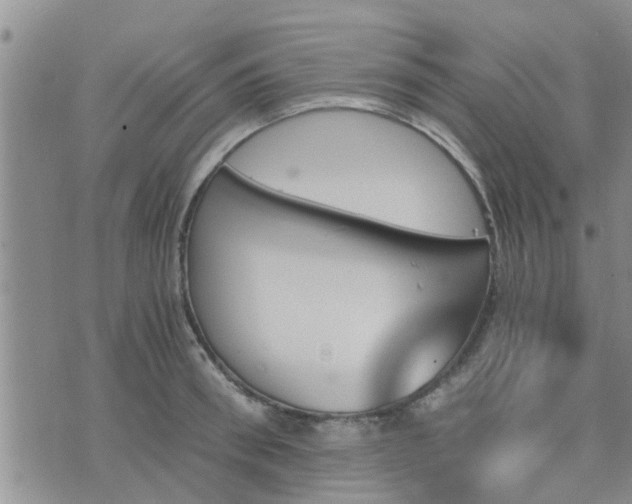 X0000075860898200609221752