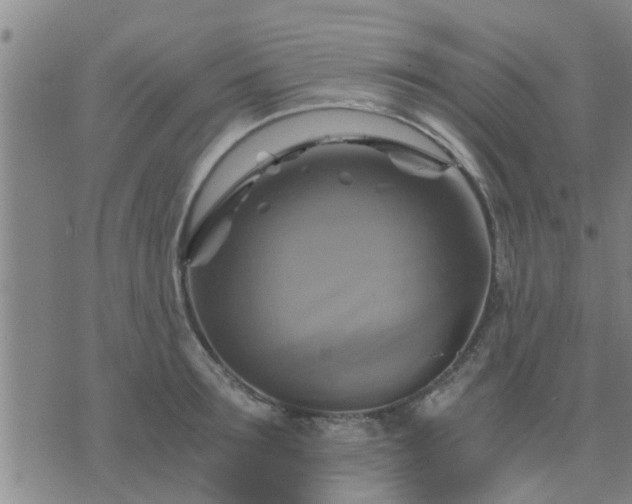 X0000075860899200609221752