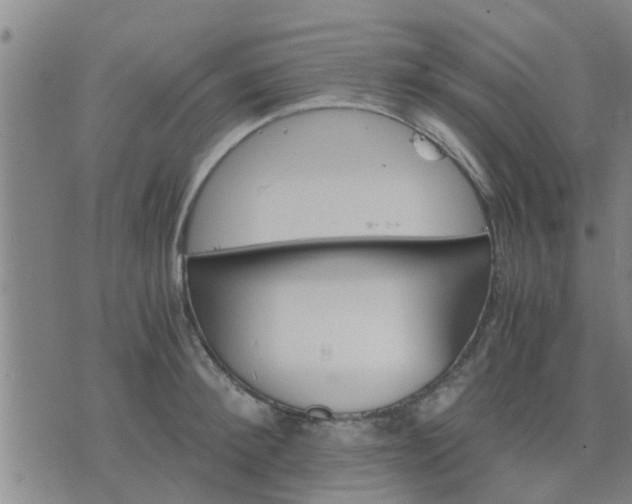 X0000075860900200609221752