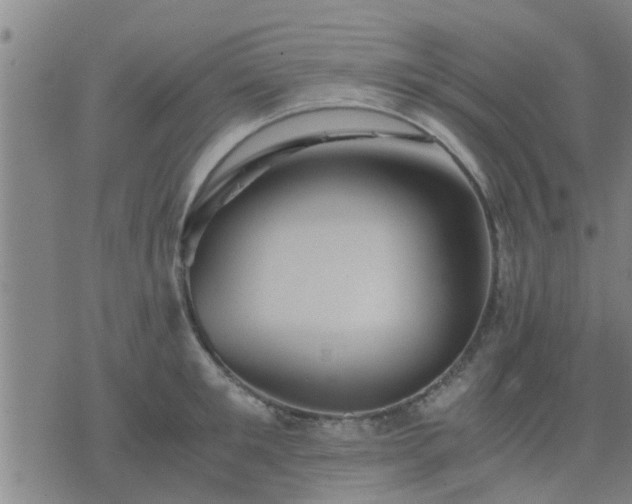 X0000075860901200609221752