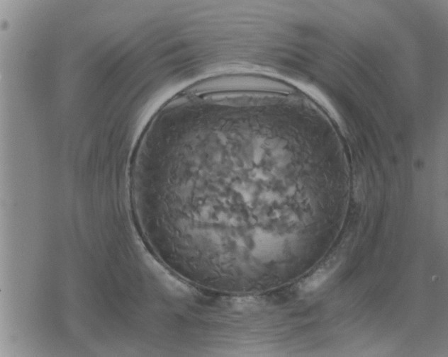 X0000075860903200609221752