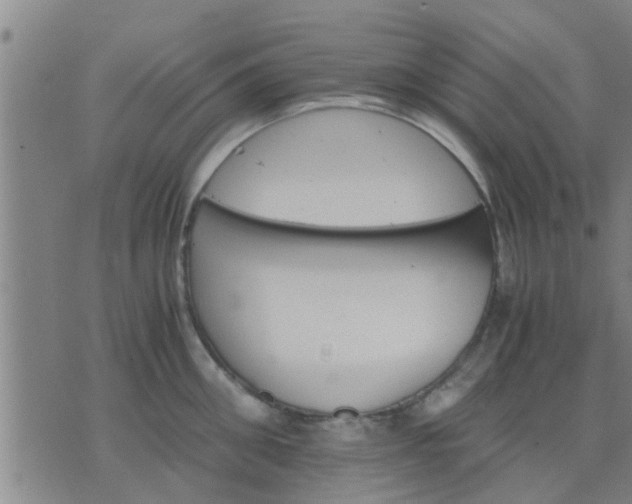 X0000075860906200609221752