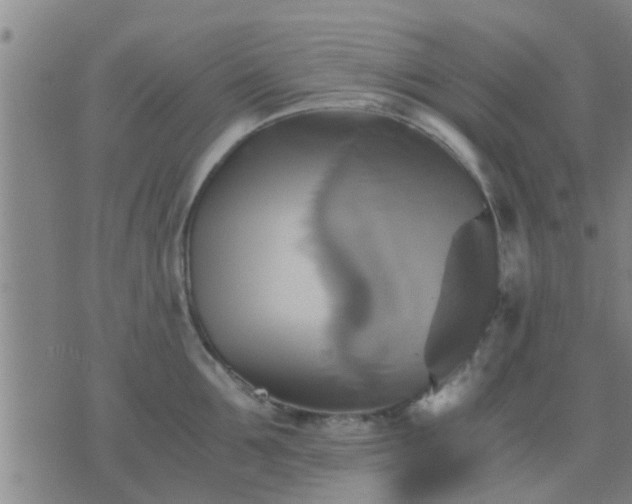 X0000075860907200609221752