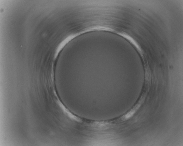 X0000075860910200609221752