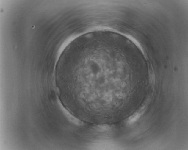 X0000075860911200609221752