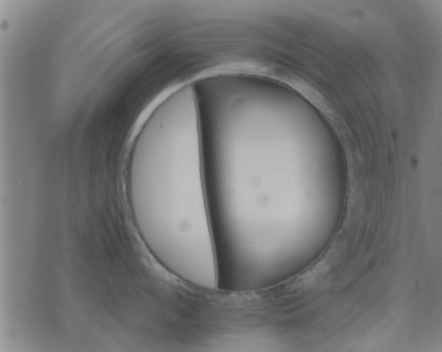 X0000075860912200609221752