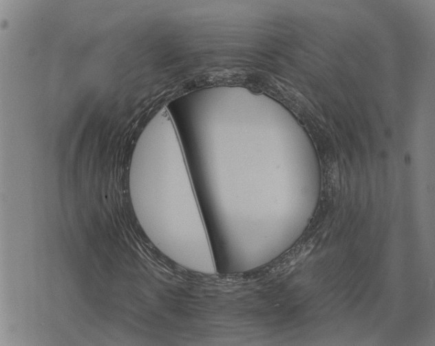 X0000075860914200609221751