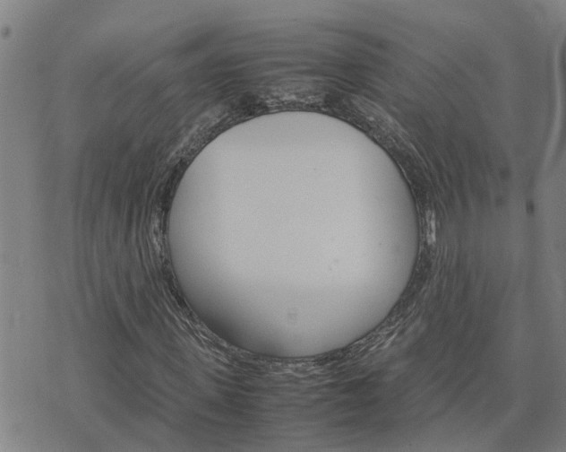 X0000075860915200609221751