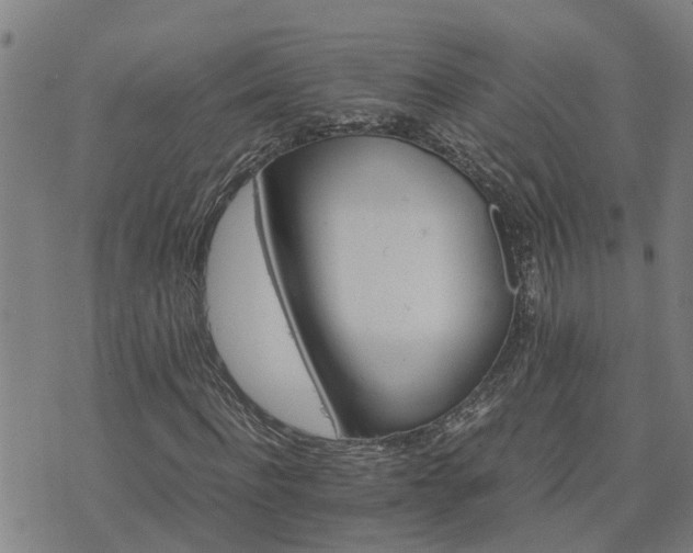 X0000075860916200609221751