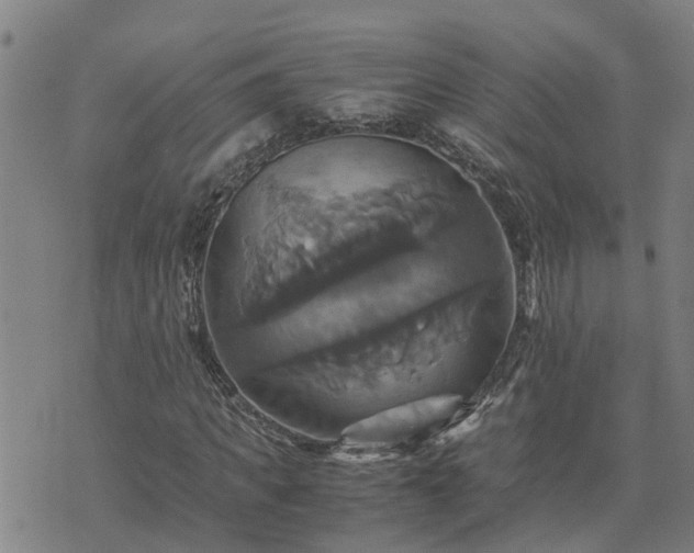 X0000075860917200609221751