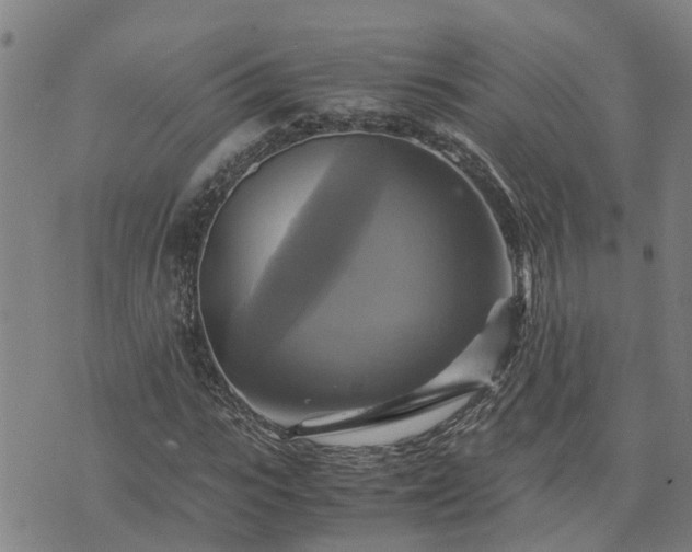 X0000075860919200609221752