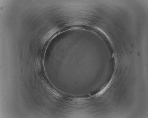 X0000075860921200609221752