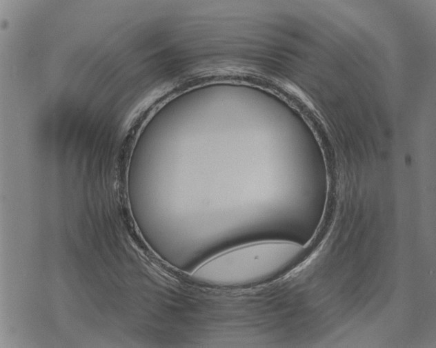 X0000075860922200609221752