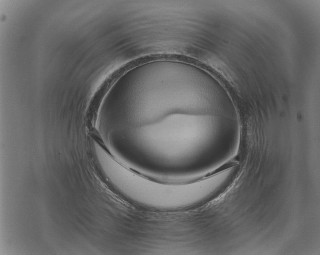 X0000075860926200609221752