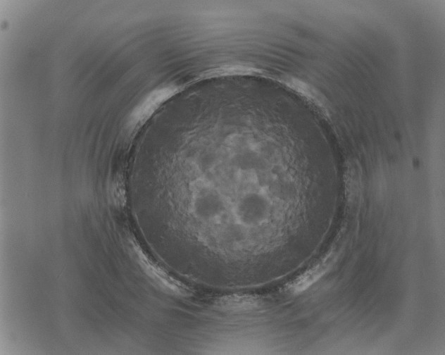 X0000075860929200609221752