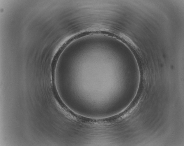 X0000075860934200609221752