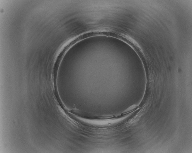 X0000075860935200609221752