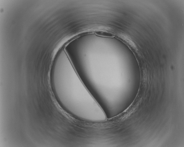 X0000075860936200609221752