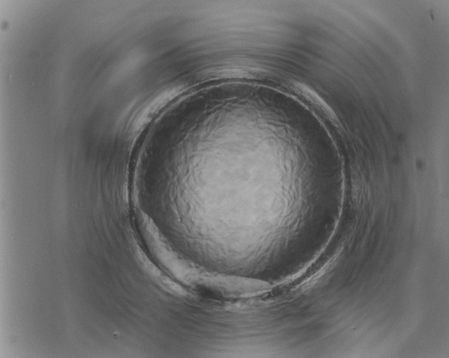 X0000075860938200609221752