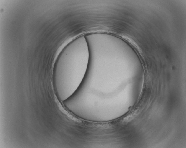 X0000075860941200609221752