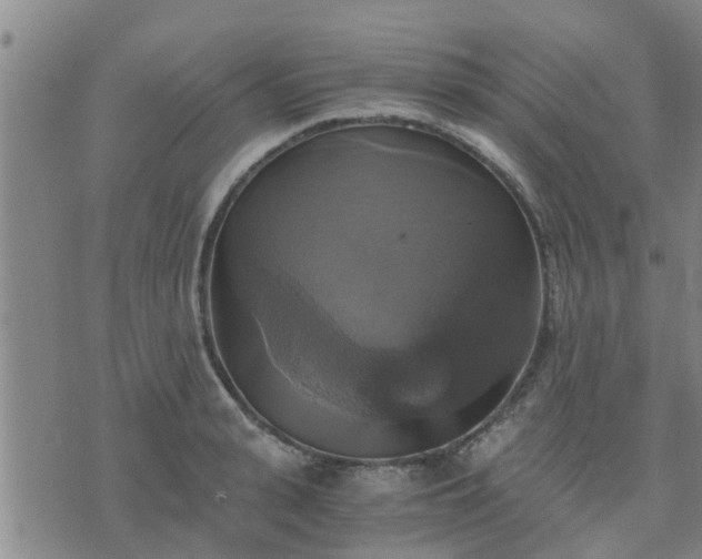 X0000075860943200609221752