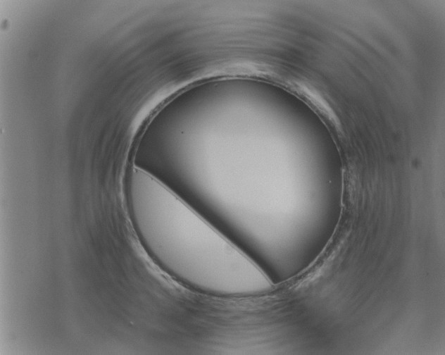 X0000075860944200609221752