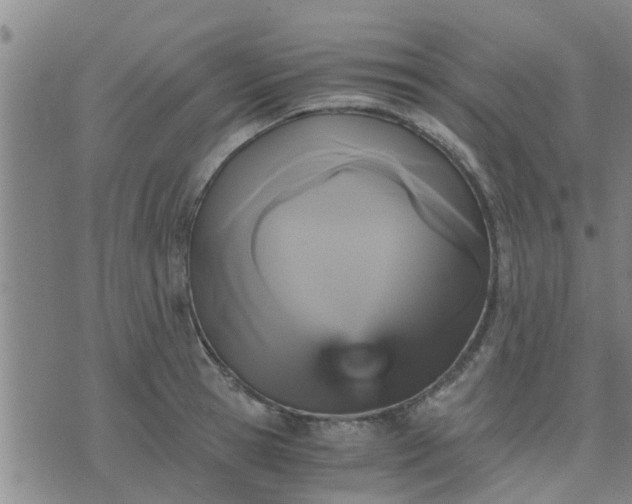 X0000075860945200609221752