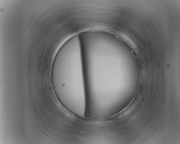 X0000075860948200609221752