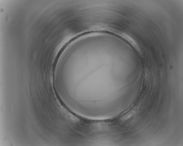 X0000075860950200609221752