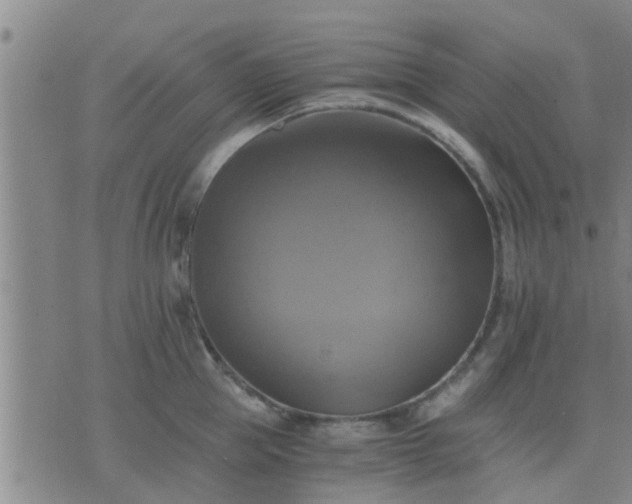 X0000075860953200609221752