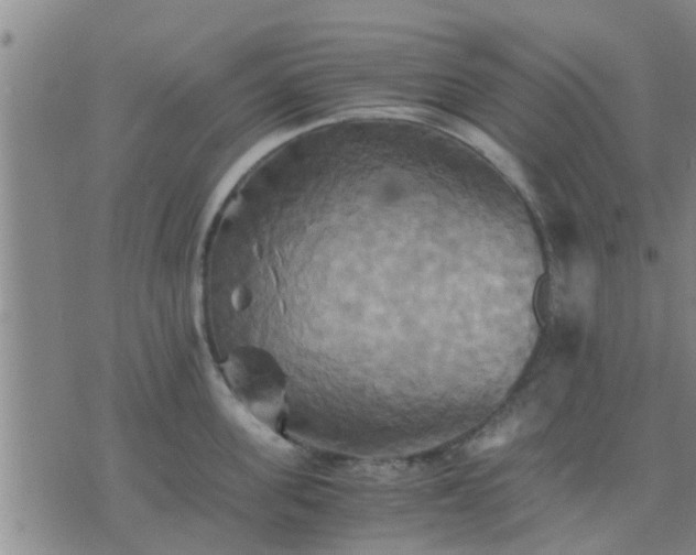 X0000075860955200609221752