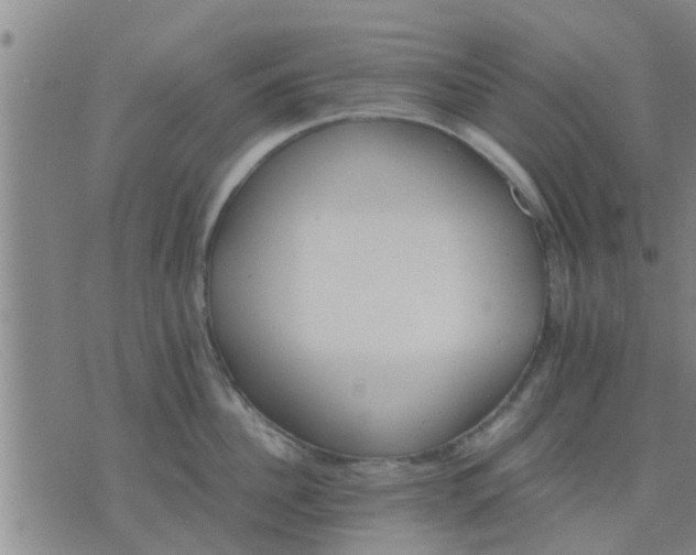 X0000075860956200609221752