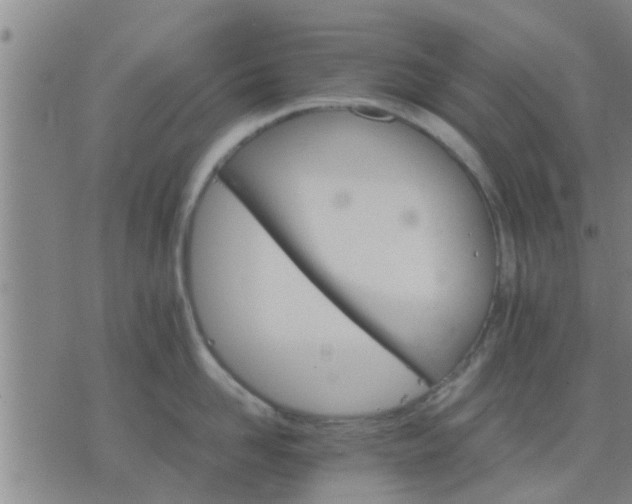 X0000075860958200609221752