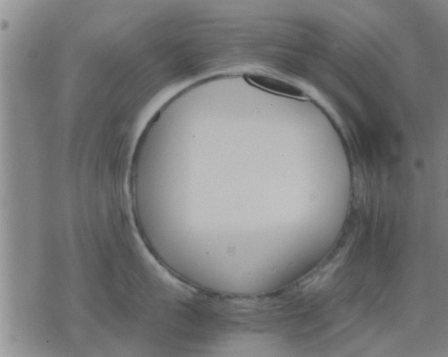 X0000075860959200609221752