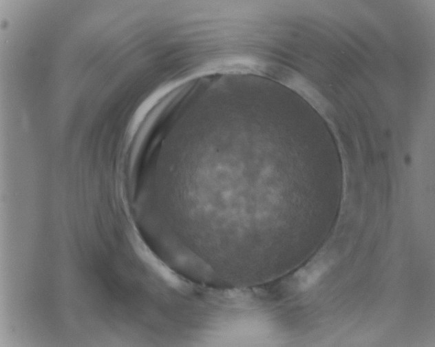 X0000075860960200609221752