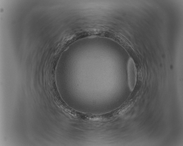 X0000075860961200609221751