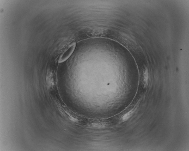 X0000075860962200609221751