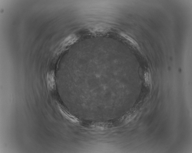 X0000075860963200609221751