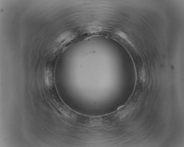 X0000075860964200609221751