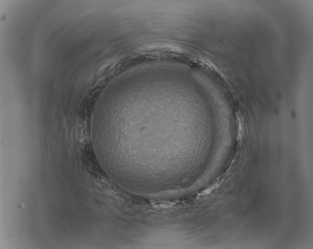 X0000075860965200609221751