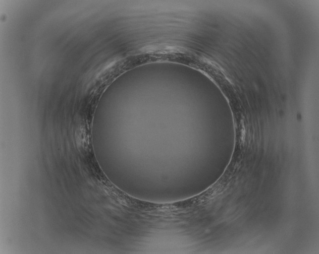 X0000075860966200609221751