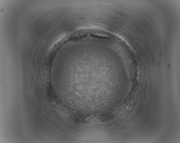 X0000075860967200609221751