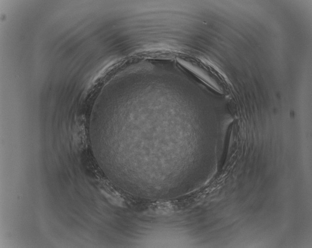 X0000075860968200609221751